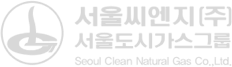 서울씨엔지 로고